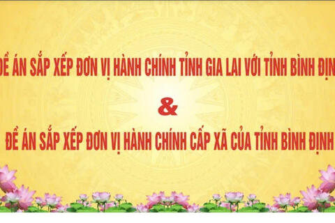 ỦY BAN NHÂN DÂN PHƯỜNG BỒNG SƠN